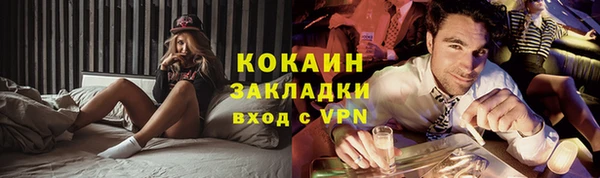 шишки Осташков