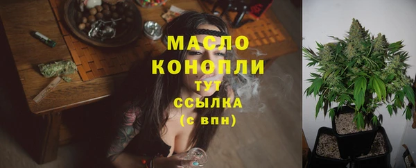 шишки Осташков