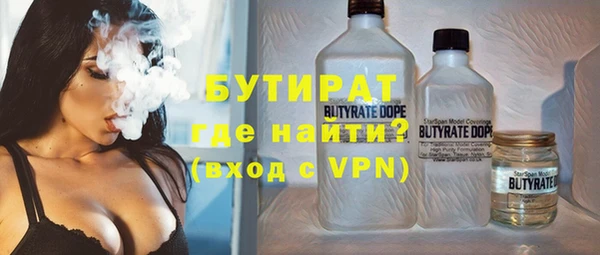 шишки Осташков