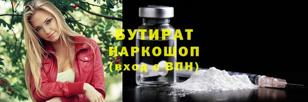 шишки Осташков