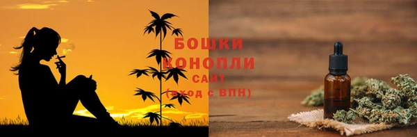 шишки Осташков