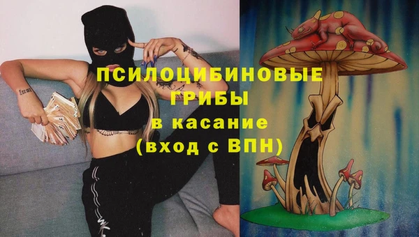 Альфа ПВП Осинники