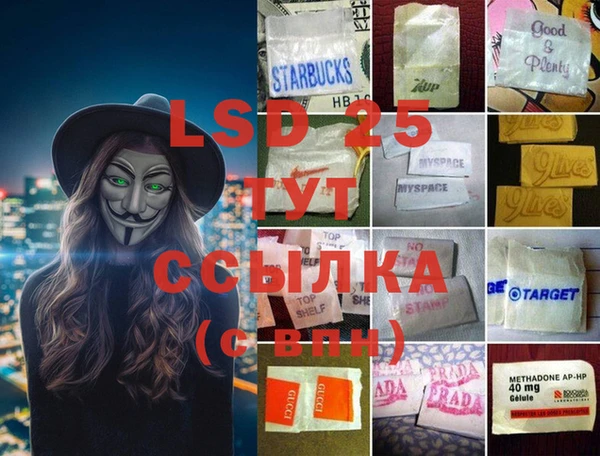 шишки Осташков