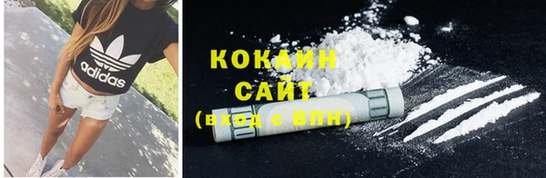 Альфа ПВП Осинники